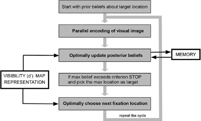 Figure 1 for Predicting Eye Fixations Under Distortion Using Bayesian Observers