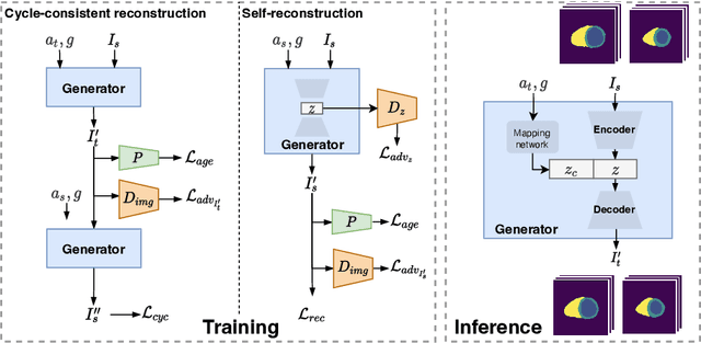 Figure 1 for Generative Modelling of the Ageing Heart with Cross-Sectional Imaging and Clinical Data