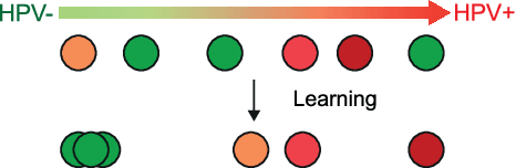 Figure 3 for Rank the triplets: A ranking-based multiple instance learning framework for detecting HPV infection in head and neck cancers using routine H&E images