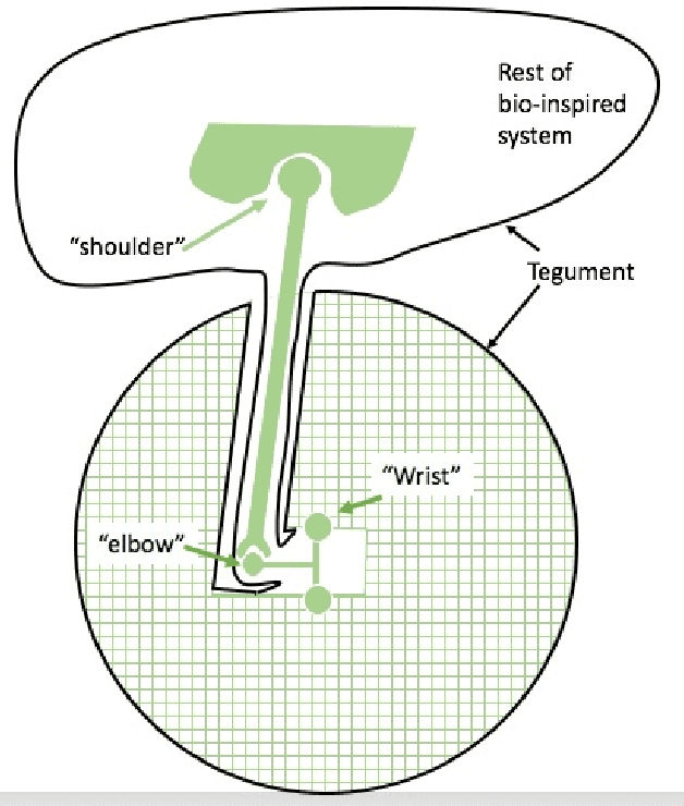 Figure 3 for Motion Rectification for an Homeostasis-Enabling Wheel