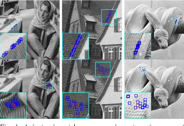 Figure 1 for Image Cartoon-Texture Decomposition Using Isotropic Patch Recurrence