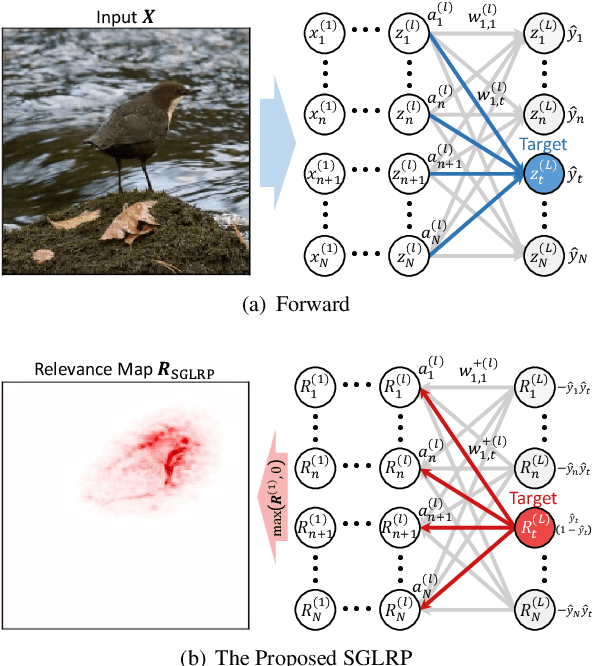 Figure 1 for Explaining Convolutional Neural Networks using Softmax Gradient Layer-wise Relevance Propagation