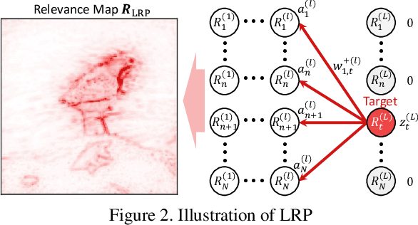 Figure 2 for Explaining Convolutional Neural Networks using Softmax Gradient Layer-wise Relevance Propagation