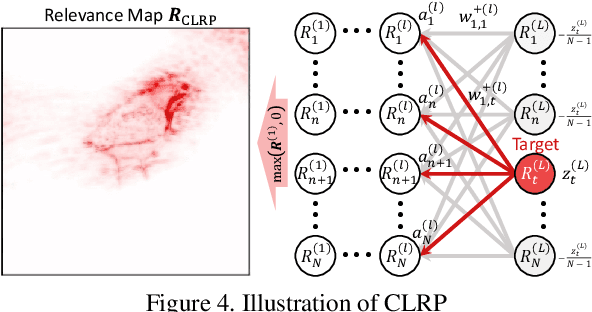 Figure 4 for Explaining Convolutional Neural Networks using Softmax Gradient Layer-wise Relevance Propagation