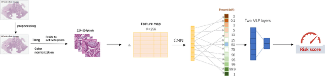 Figure 1 for Colorectal cancer survival prediction using deep distribution based multiple-instance learning