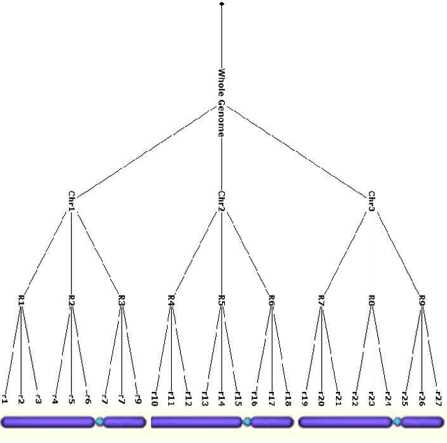 Figure 1 for Genomic Prediction of Quantitative Traits using Sparse and Locally Epistatic Models