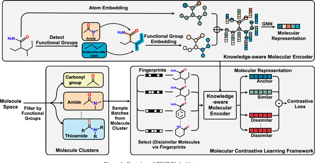 Figure 2 for Knowledge-aware Contrastive Molecular Graph Learning