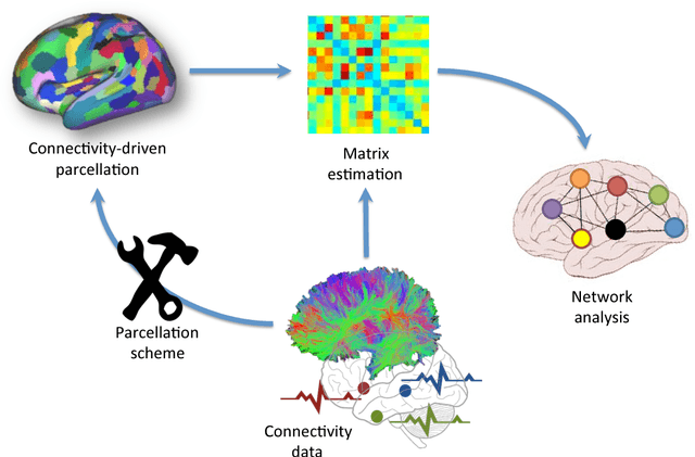Figure 1 for Connectivity-Driven Parcellation Methods for the Human Cerebral Cortex