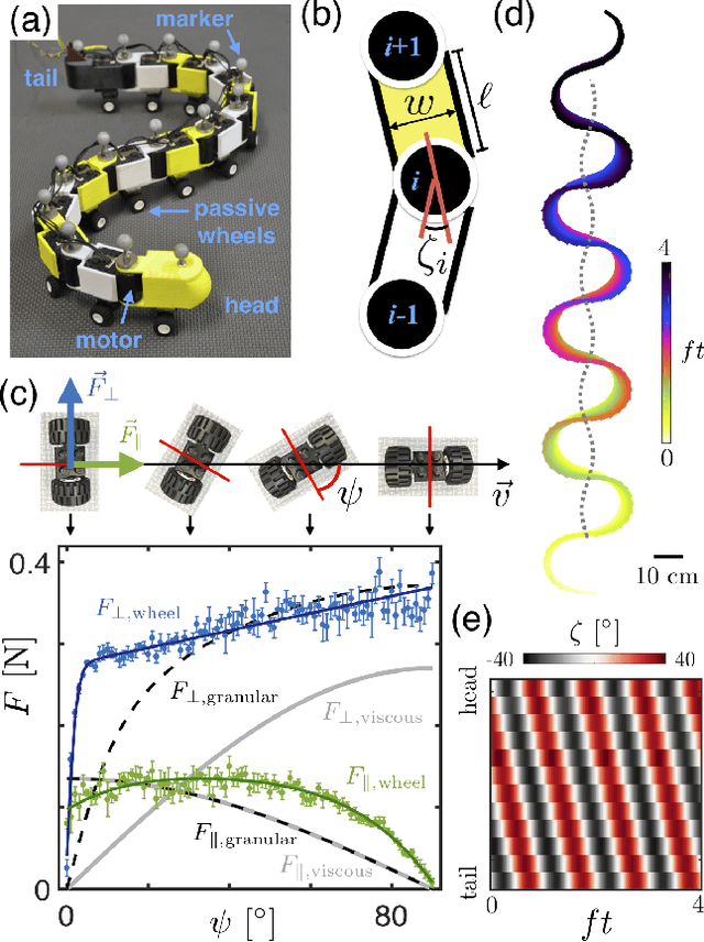 Figure 1 for The dynamics of scattering in undulatory active collisions