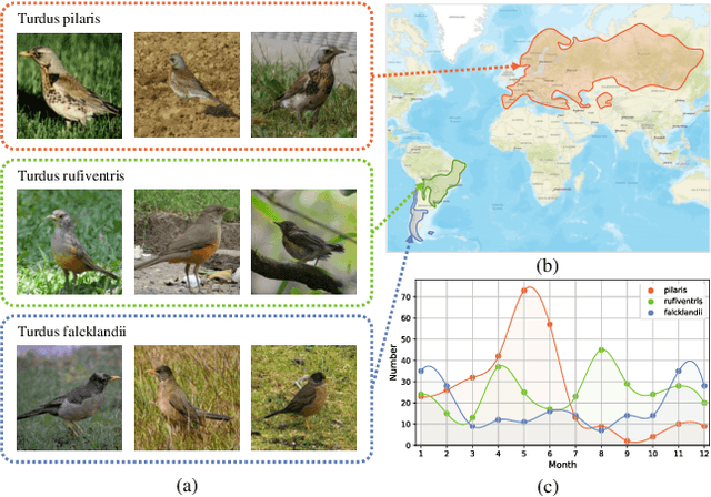 Figure 3 for Dynamic MLP for Fine-Grained Image Classification by Leveraging Geographical and Temporal Information