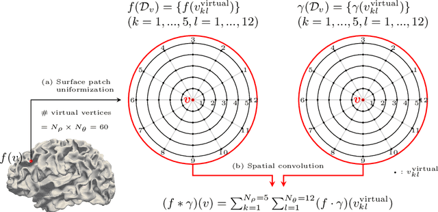 Figure 2 for Deep Modeling of Growth Trajectories for Longitudinal Prediction of Missing Infant Cortical Surfaces