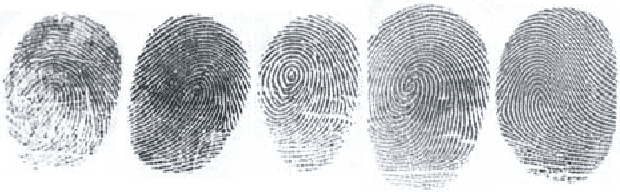Figure 2 for A review of schemes for fingerprint image quality computation