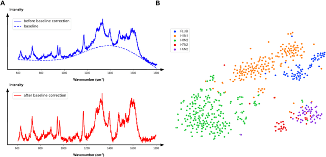 Figure 1 for Accurate Virus Identification with Interpretable Raman Signatures by Machine Learning