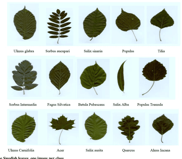 Figure 3 for Plant Species Classification Using Transfer Learning by Pretrained Classifier VGG-19