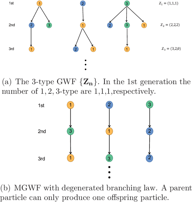 Figure 3 for A Novel Exploration of Diffusion Process based on Multi-types Galton-Watson Forests