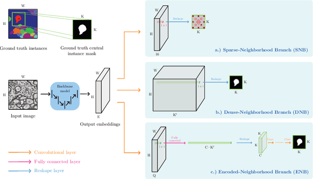Figure 1 for Proposal-Free Volumetric Instance Segmentation from Latent Single-Instance Masks