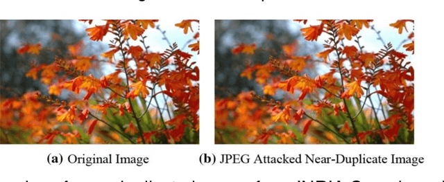 Figure 1 for A Review on Near Duplicate Detection of Images using Computer Vision Techniques