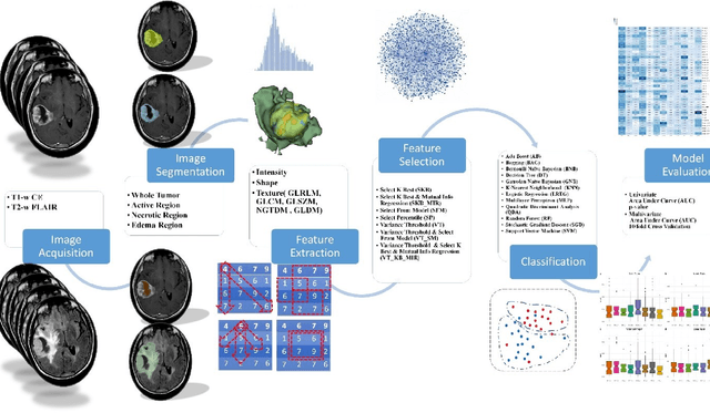 Figure 1 for Non-Invasive MGMT Status Prediction in GBM Cancer Using Magnetic Resonance Images  Radiomics Features: Univariate and Multivariate Machine Learning Radiogenomics Analysis