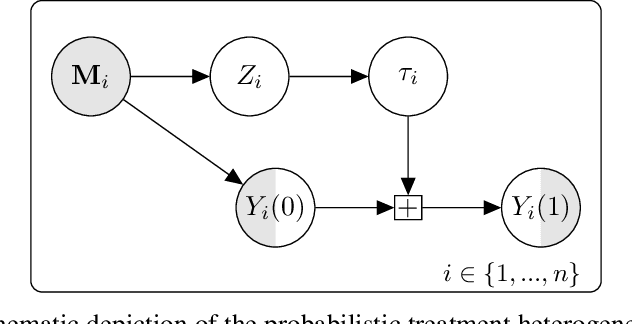 Figure 1 for Image-based Treatment Effect Heterogeneity