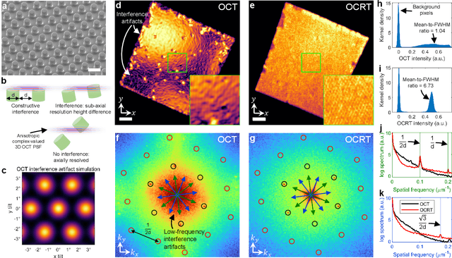 Figure 2 for Computational 3D microscopy with optical coherence refraction tomography