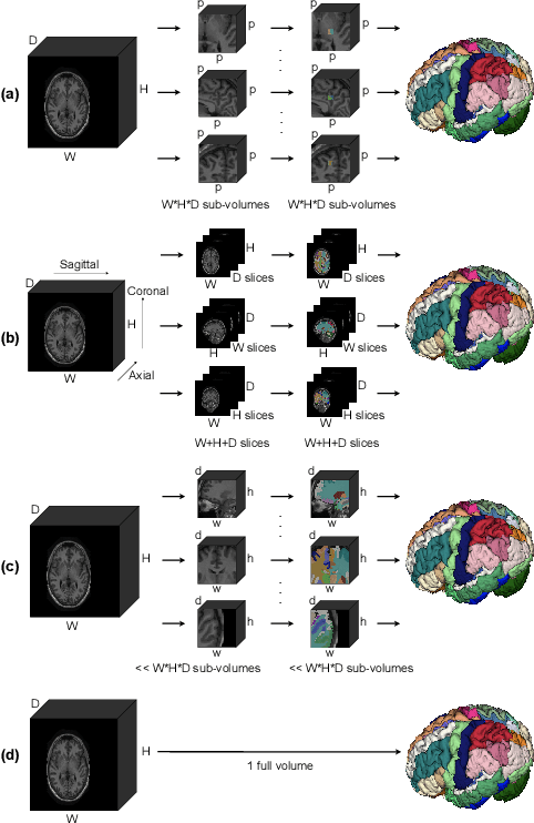 Figure 1 for Whole Brain Segmentation with Full Volume Neural Network