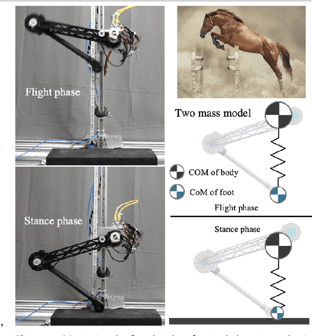 Figure 1 for Maximize the Foot Clearance for a Hopping Robotic Leg Considering Motor Saturation