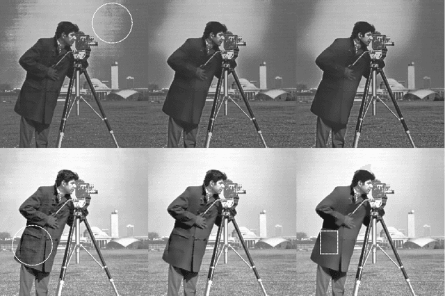 Figure 4 for Exact Histogram Specification Optimized for Structural Similarity