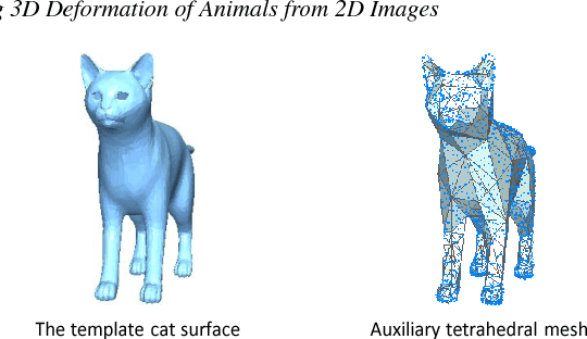 Figure 3 for Learning 3D Deformation of Animals from 2D Images