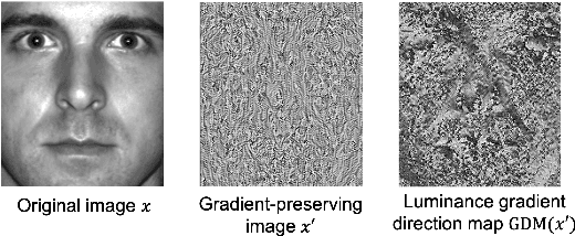 Figure 2 for Generation of Gradient-Preserving Images allowing HOG Feature Extraction