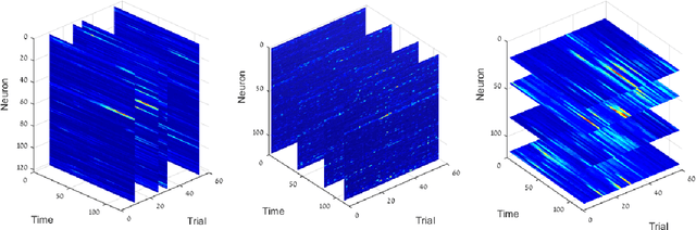 Figure 1 for Hierarchical Coupled Geometry Analysis for Neuronal Structure and Activity Pattern Discovery