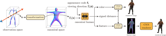 Figure 2 for Animatable Neural Implicit Surfaces for Creating Avatars from Videos