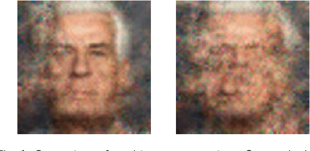 Figure 1 for Beyond Gradients: Exploiting Adversarial Priors in Model Inversion Attacks
