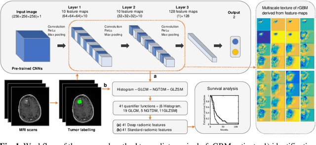Figure 1 for Deep radiomic features from MRI scans predict survival outcome of recurrent glioblastoma