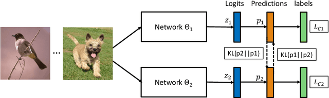 Figure 1 for Deep Mutual Learning