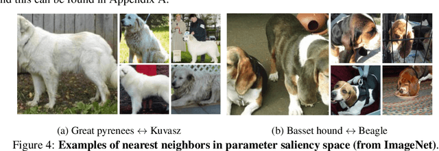 Figure 4 for Where do Models go Wrong? Parameter-Space Saliency Maps for Explainability