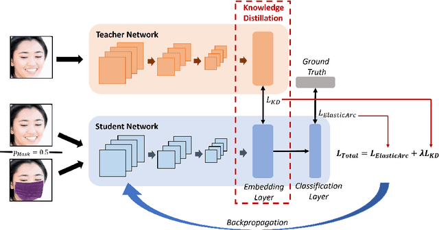 Figure 1 for Mask-invariant Face Recognition through Template-level Knowledge Distillation