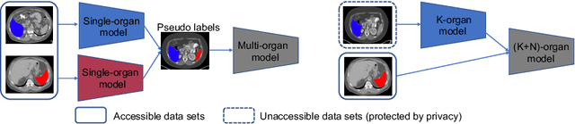 Figure 1 for Uncertainty-aware Incremental Learning for Multi-organ Segmentation