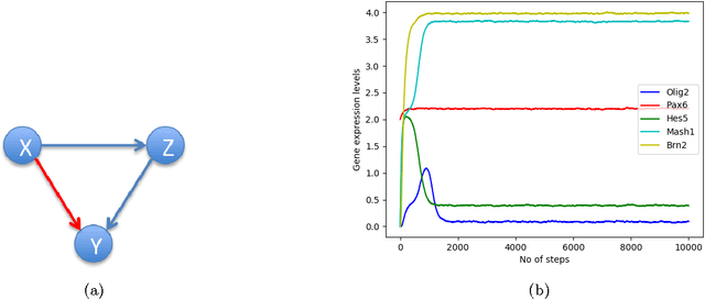 Figure 1 for Potential Conditional Mutual Information: Estimators, Properties and Applications
