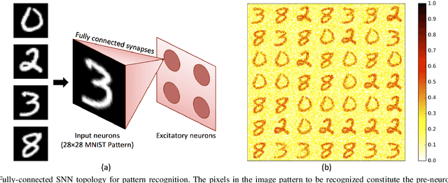 Figure 2 for Convolutional Spike Timing Dependent Plasticity based Feature Learning in Spiking Neural Networks
