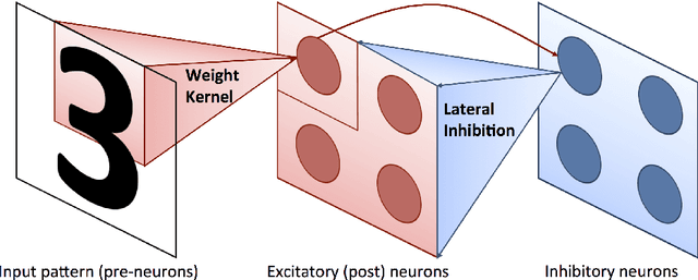 Figure 3 for Convolutional Spike Timing Dependent Plasticity based Feature Learning in Spiking Neural Networks