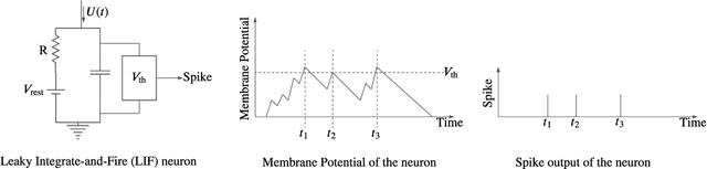 Figure 1 for Implementing Spiking Neural Networks on Neuromorphic Architectures: A Review