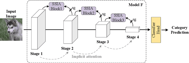Figure 4 for Self-Supervised Implicit Attention: Guided Attention by The Model Itself