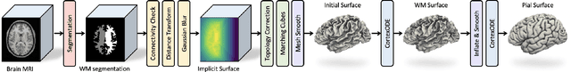 Figure 3 for CortexODE: Learning Cortical Surface Reconstruction by Neural ODEs