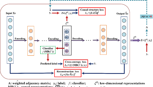 Figure 1 for Learning causal representations for robust domain adaptation