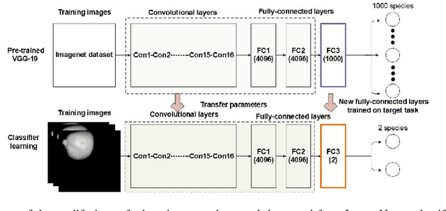 Figure 4 for Hyperspectral Imaging Technology and Transfer Learning Utilized in Identification Haploid Maize Seeds