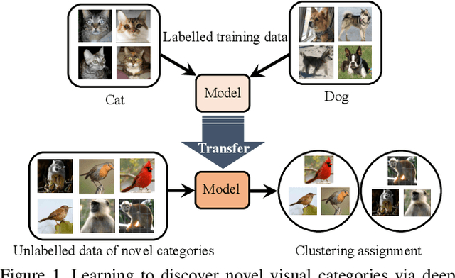 Figure 1 for Learning to Discover Novel Visual Categories via Deep Transfer Clustering
