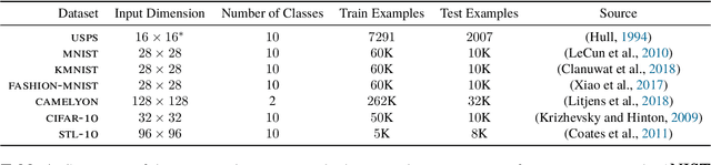 Figure 2 for Gradient Flows in Dataset Space