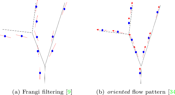 Figure 2 for Confluent Vessel Trees with Accurate Bifurcations