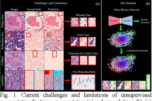 Figure 1 for Unsupervised Tissue Segmentation via Deep Constrained Gaussian Network
