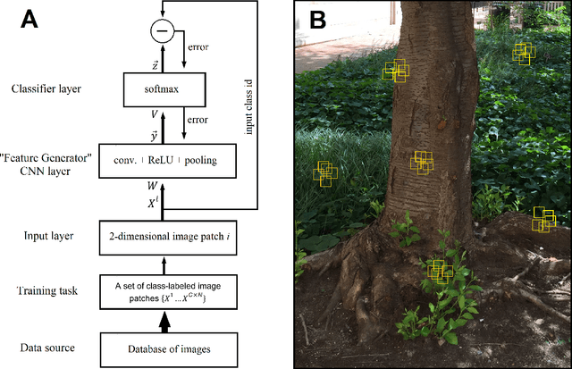 Figure 1 for Contextually Guided Convolutional Neural Networks for Learning Most Transferable Representations